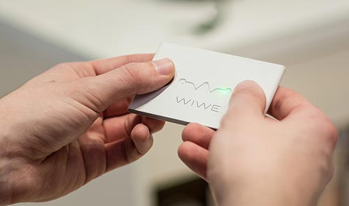 wiwe_orin_001